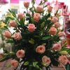 Centro Rosas y Liliums Rosados