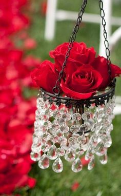 Ramo de 6 Rosas, Regalar Rosas, Ramos de Rosas para Regalo, Arte Floral, Envío de Arreglos Florales, Floristería Juani, Floristería en Benalmádena