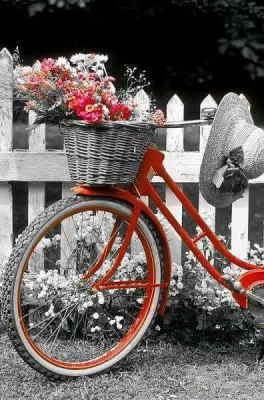 Centro Flores Rabat, Centro de Flores para Regalar, Floristería Online, Envíos Urgentes, Centro de Flores de Regalo, Floristería Juani