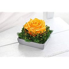 Rosa Preservada, Regalo de San Valentín, Rosa Eterna, Floristería Online, Rosas Naturales, Floristerías en Benalmadena, Floristería Juani