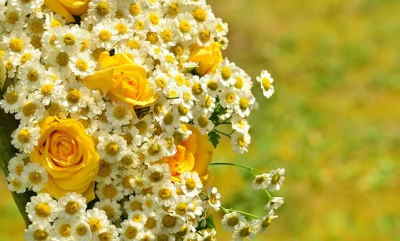 Ramo Flores Hungría, Comprar Flores Online, Floristerías en Benalmádena, Flores para Regalar, Floristería Online, Floristas Profesionales, Envío de Flores