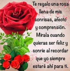 Ramo de 6 Rosas, Regalar Rosas, Ramos de Rosas para Regalo, Arte Floral, Envío de Arreglos Florales, Floristería Juani, Floristería en Benalmádena