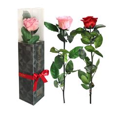 Rosa Preservada, Regalo de San Valentín, Rosa Eterna, Floristería Online, Rosas Naturales, Floristerías en Benalmadena, Floristería Juani