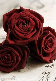 Ramo de 6 Rosas, Regalar Rosas, Ramos de Rosas para Regalo, Arte Floral, Envío de Arreglos Florales, Floristería Juani, Floristería en Benalmádena