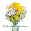 Ramo de margaritas