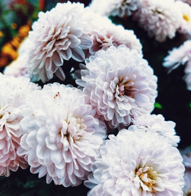 Centro Lágrima tonos Blancos, Enviar Flores Blancas al Tanatorio, Flores para Difuntos, Floristería en Benalmádena, Comprar Flores Online