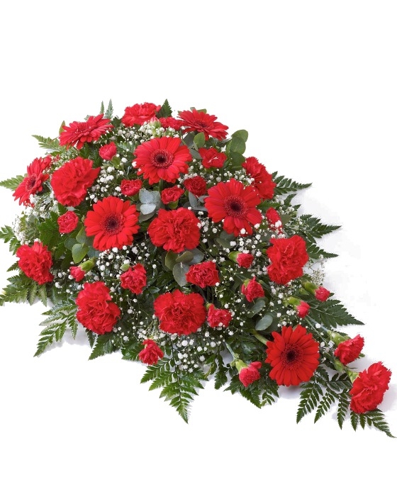 Centro Funerario Rojos