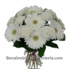 Ramo blanco