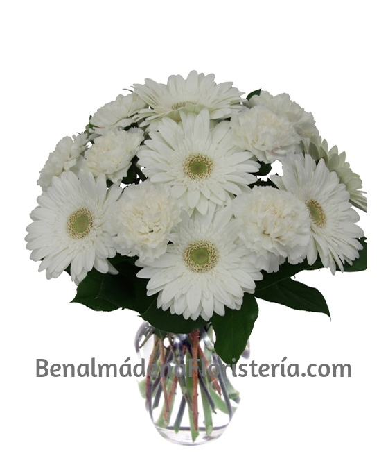 Ramo blanco