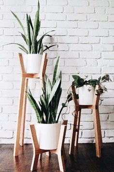 Cesta Plantas Canadá, Cesta de Plantas para Nacimiento, Cesta de Plantas para Cumpleaños, Arte Floral, Cestas de Plantas de Regalo