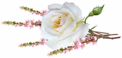 Bouquet Flores Dinamarca, Flores para Regalar, Floristería Online, Ramos de Flores, Arreglos Florales, Floristerías en Benalmádena