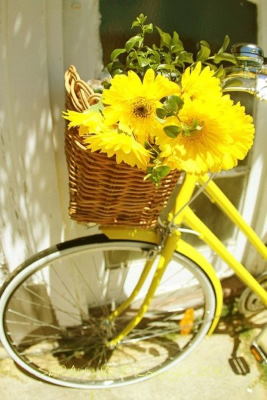 Centro Flores Guinea, Enviar Flores a Benalmádena, Floristería Online, Arte Floral, Envío de Flores Urgente, Floristería Juani en Benalmádena