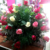 Centro de 36 Rosas