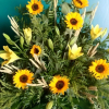 Centro de Girasoles